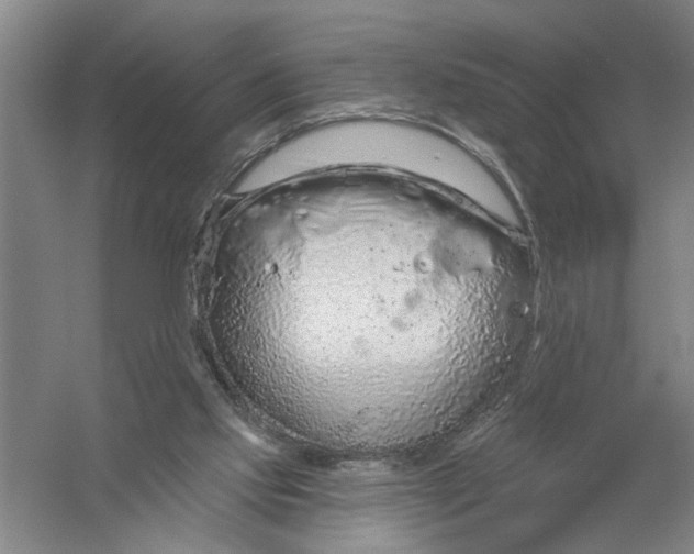 X0000056350061200509232116