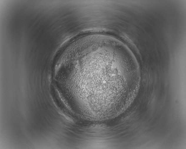 X0000056350063200509232116