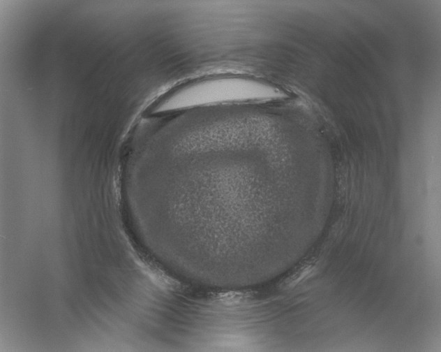 X0000056350064200509232116