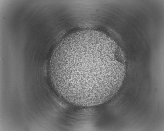 X0000056350065200509232116