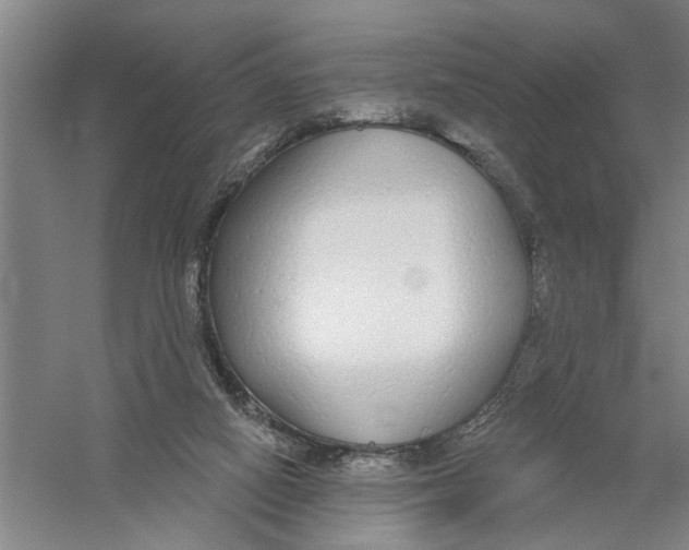 X0000056350066200509232116