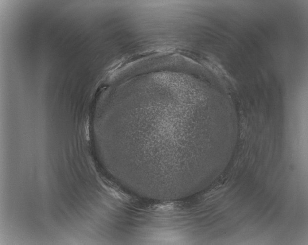 X0000056350068200509232116