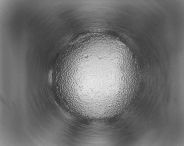 X0000056350070200509232116