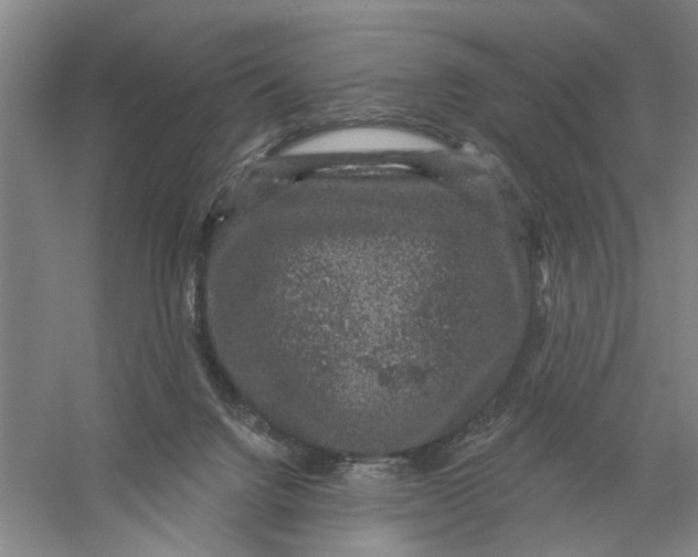 X0000056350072200509232116