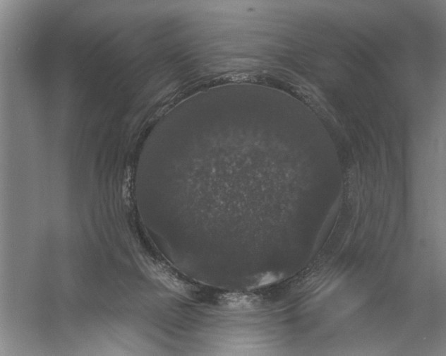 X0000056350073200509232116