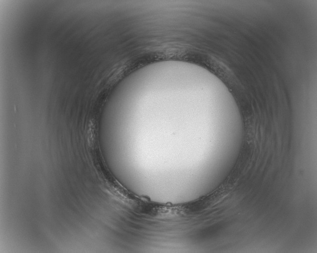 X0000056350077200509232116