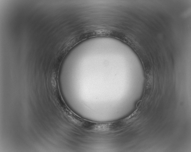 X0000056350078200509232116