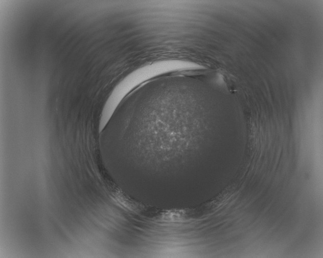 X0000056350080200509232116