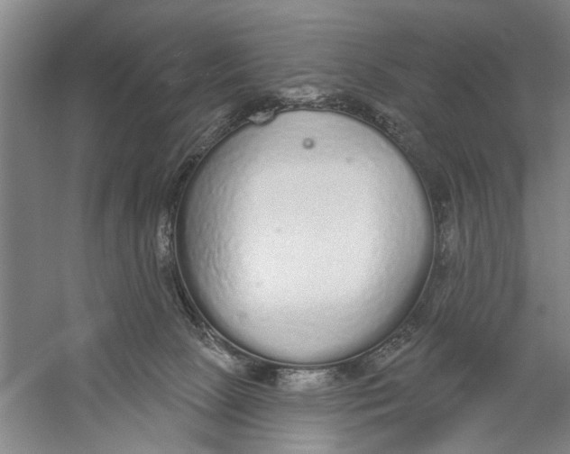 X0000056350081200509232116