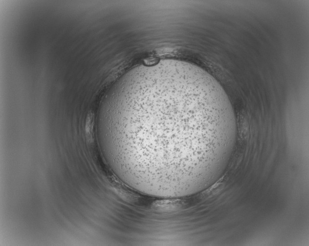 X0000056350082200509232116