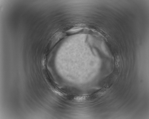 X0000056350084200509232116