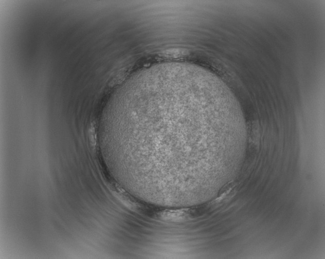 X0000056350086200509232116