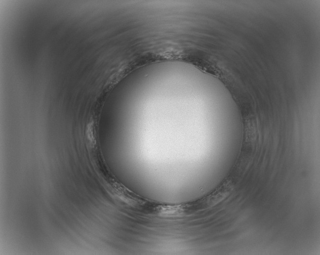 X0000056350088200509232116