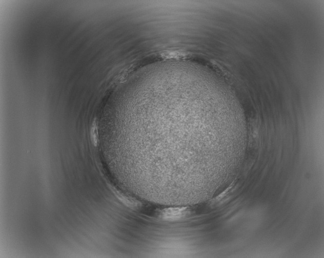 X0000056350090200509232116