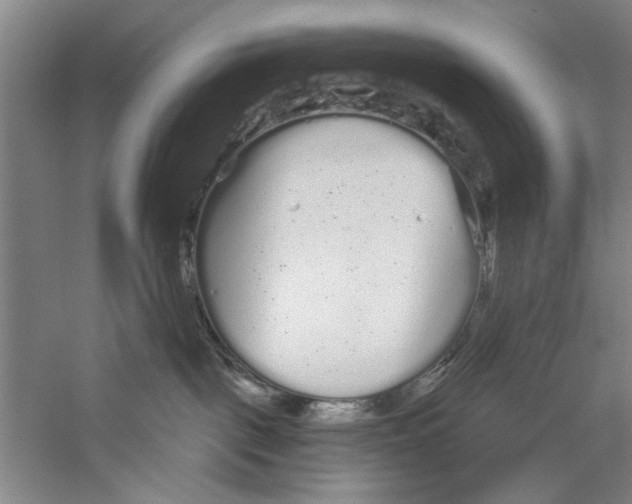 X0000056350093200509232117