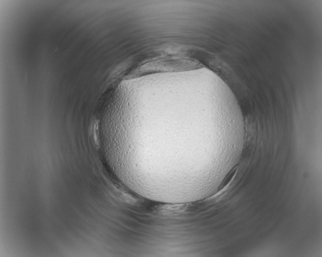 X0000056350094200509232117