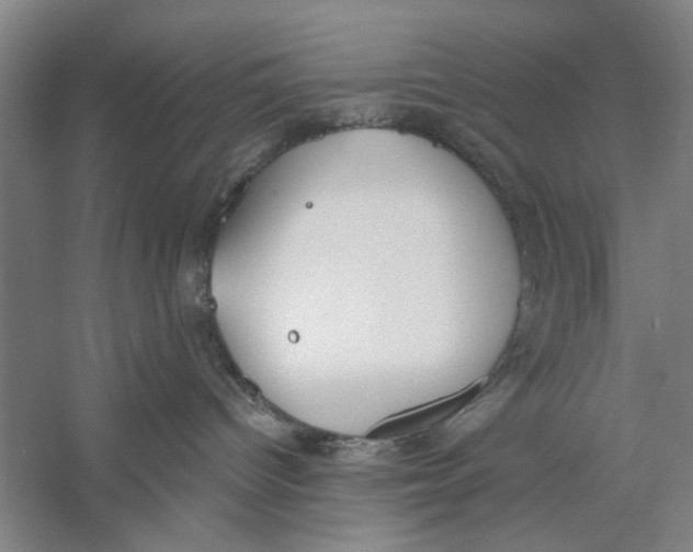 X0000056350096200509232117