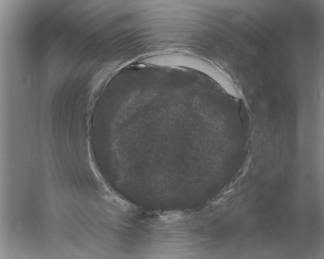 X0000056350097200509232116