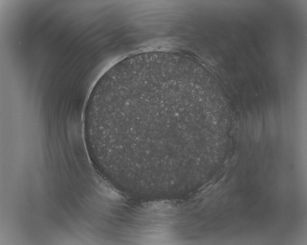 X0000056350100200509232116