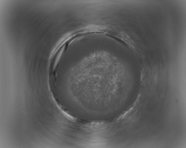 X0000056350101200509232116