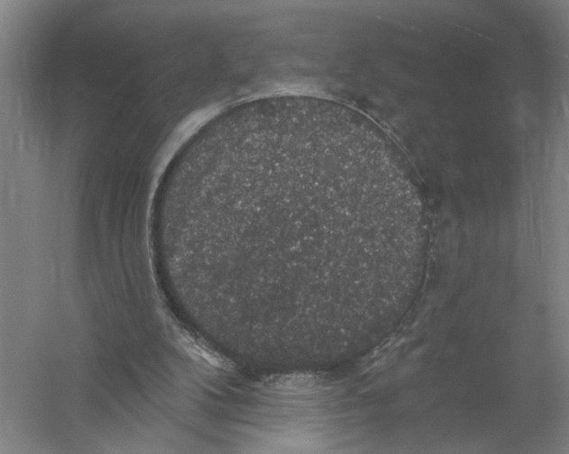 X0000056350104200509232116