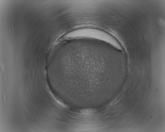 X0000056350105200509232116