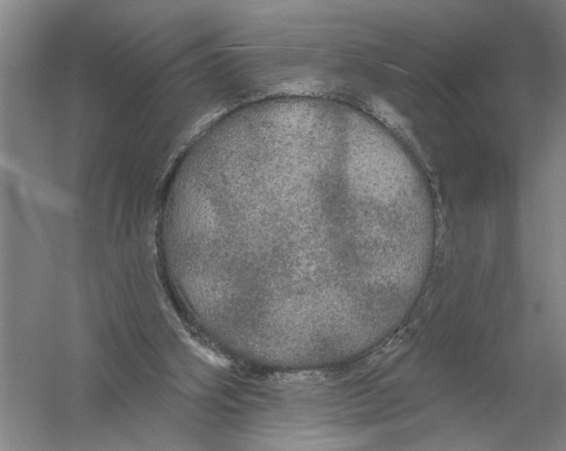 X0000056350106200509232116