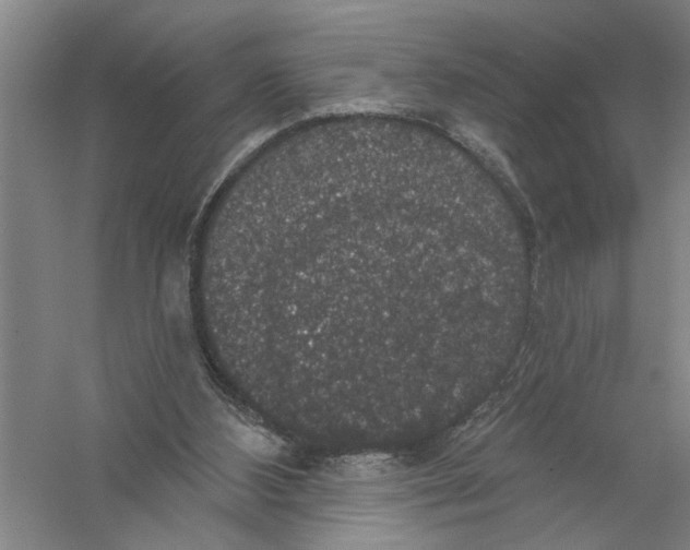 X0000056350108200509232116