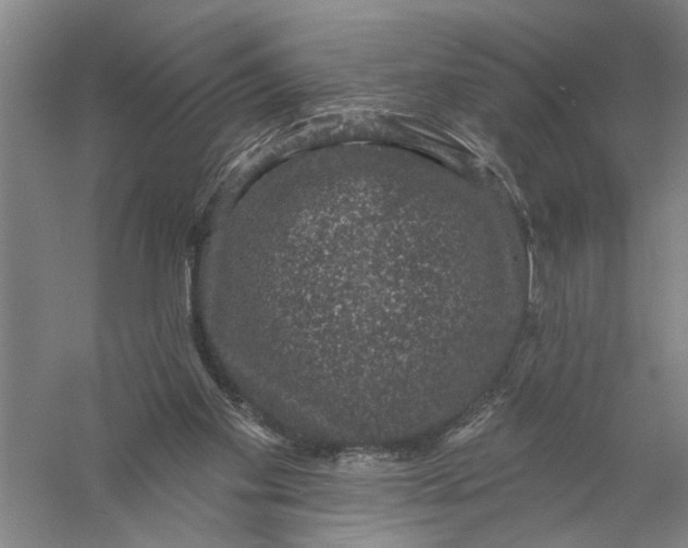 X0000056350109200509232116