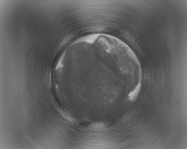 X0000056350110200509232116