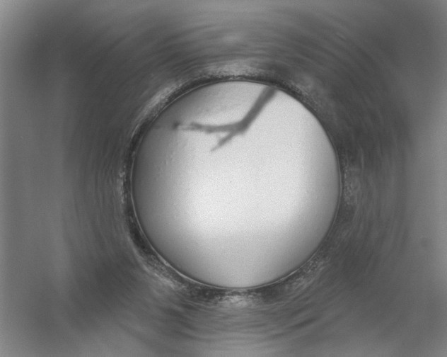 X0000056350111200509232116