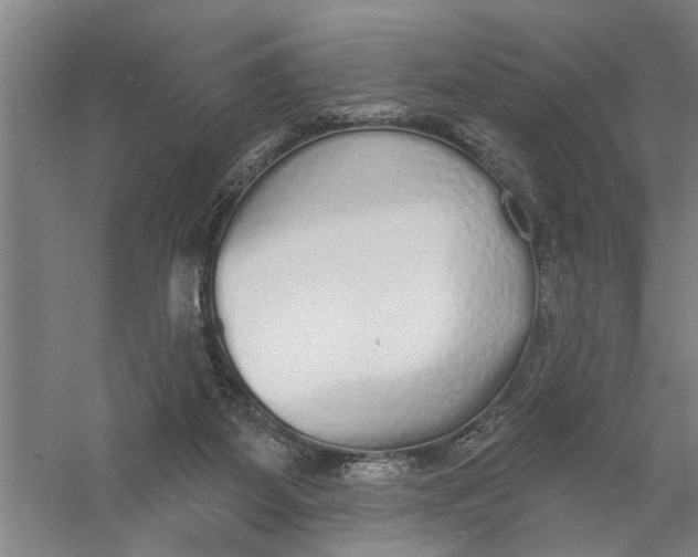 X0000056350115200509232115