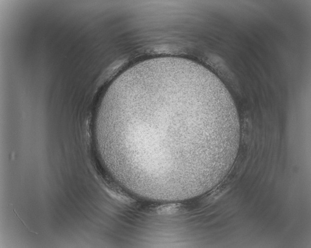 X0000056350116200509232115