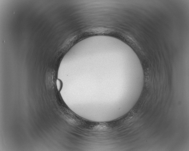 X0000056350119200509232115