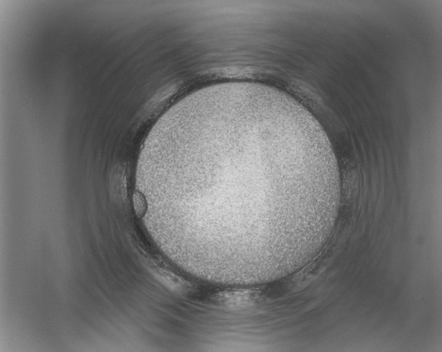 X0000056350120200509232115