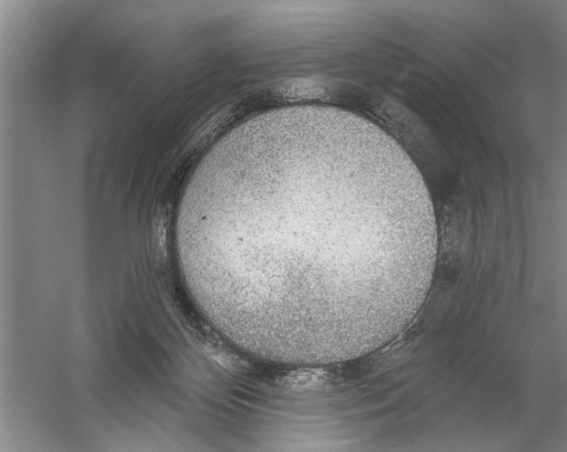 X0000056350124200509232115