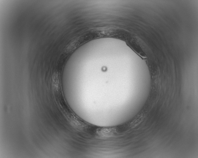 X0000056350129200509232115