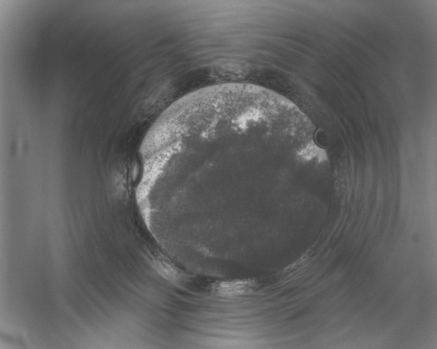 X0000056350134200509232115