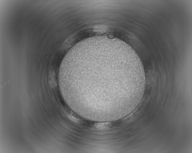 X0000056350136200509232115