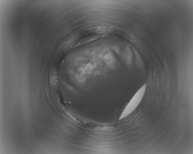 X0000056350137200509232115