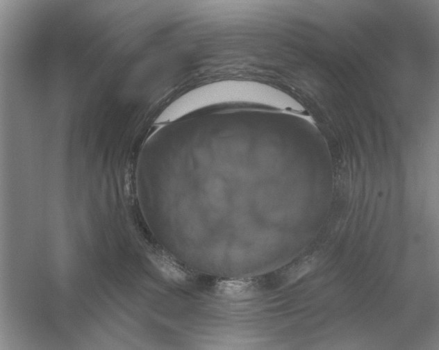 X0000056350139200509232115