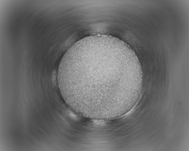 X0000056350144200509232115