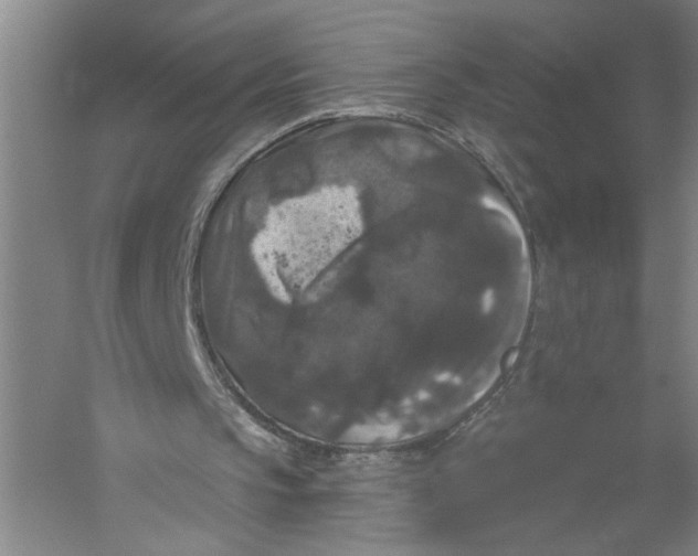 X0000056350145200509232114