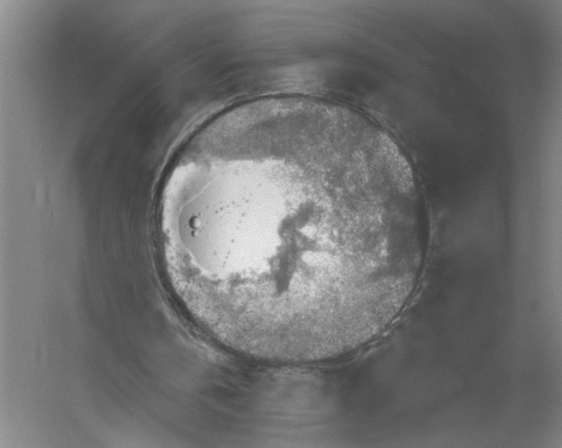 X0000056350146200509232114