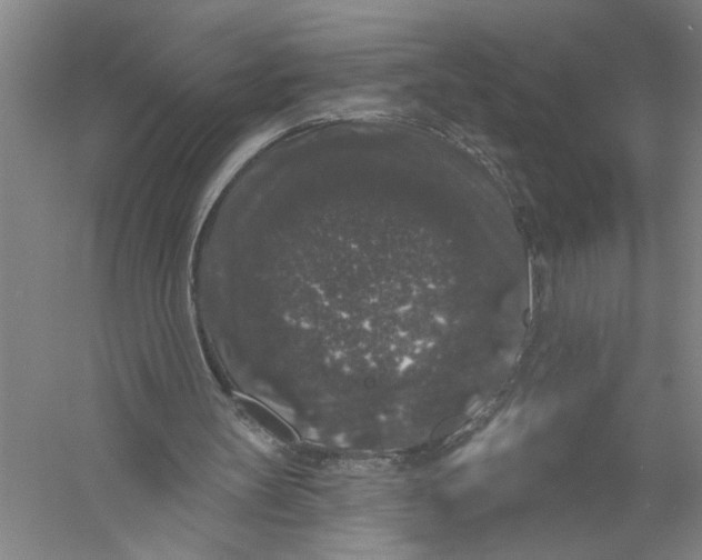 X0000056350147200509232114