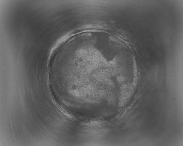 X0000056350149200509232114