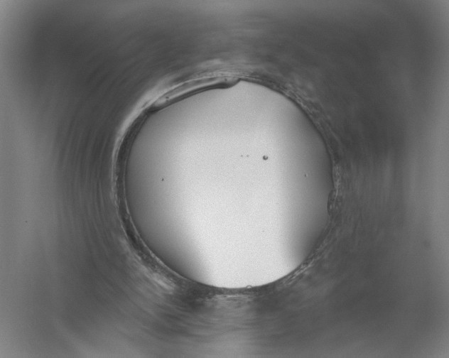 X0000056350150200509232114