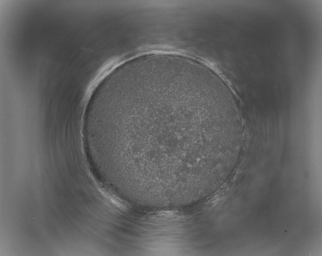 X0000056350151200509232114