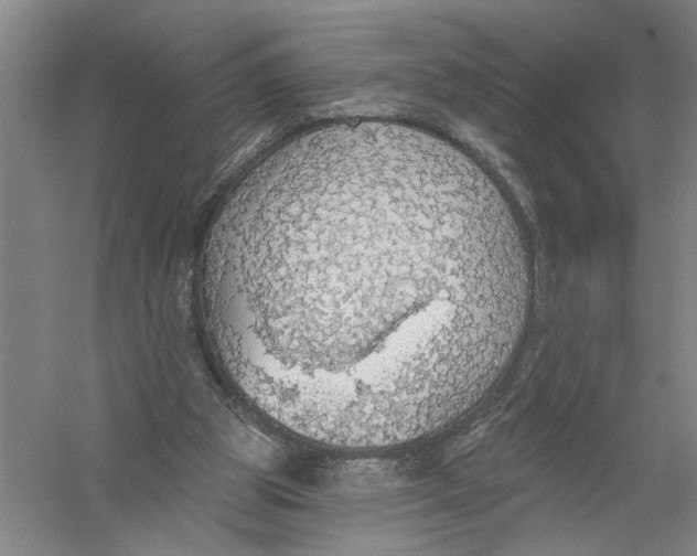 X0000056350153200509232114