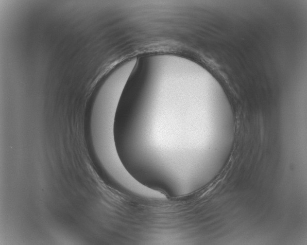 X0000056350154200509232114